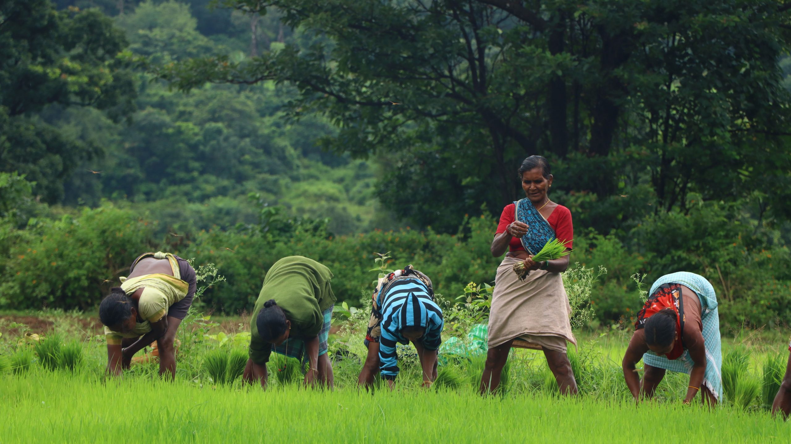 Gender Wage Inequality: A Core Problem in Rural Indian Economy