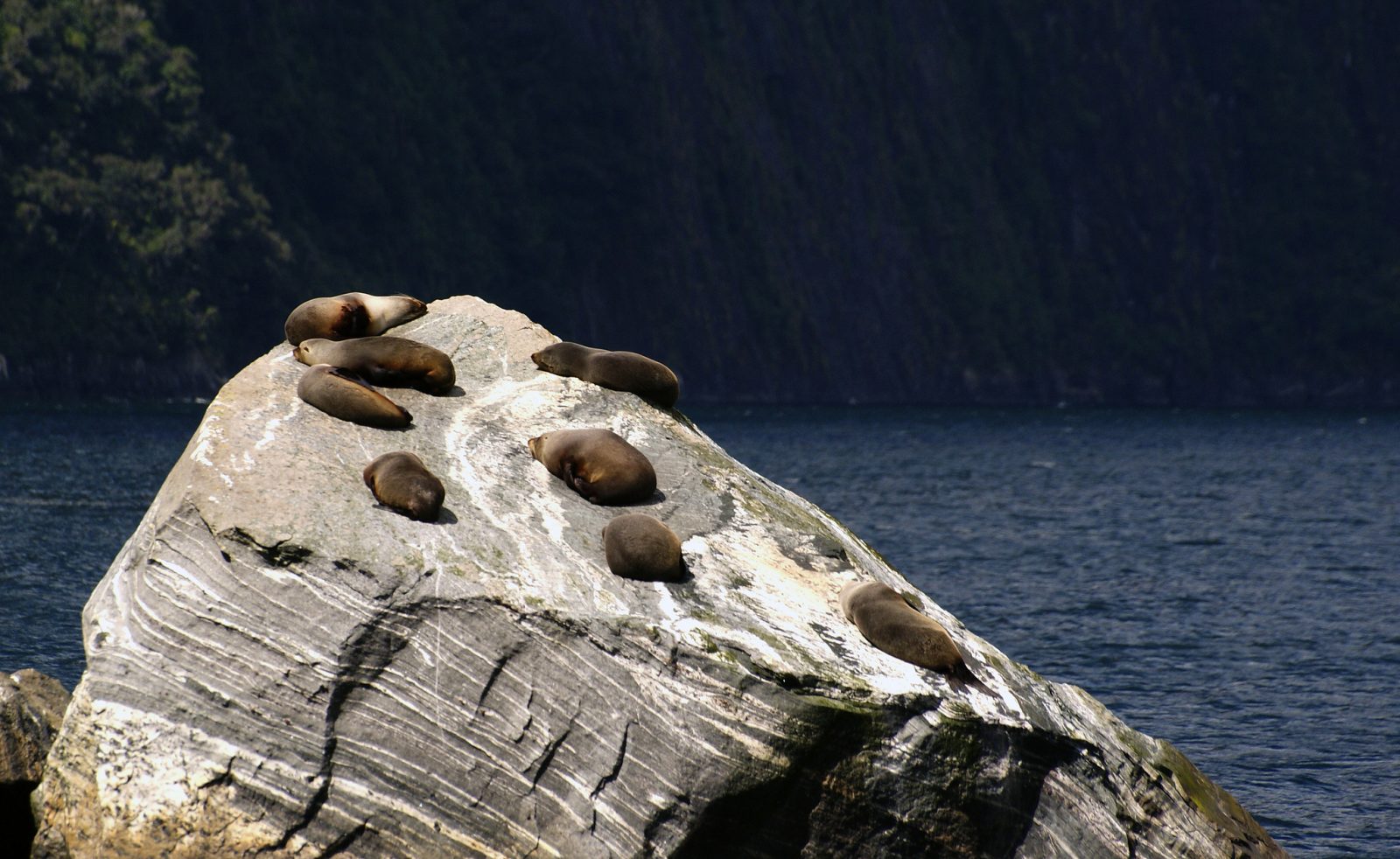 UNCLOS and Marine Pollution