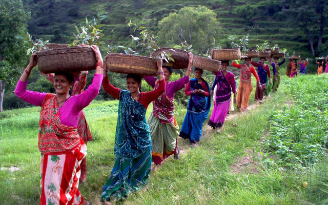 Falling Consumption Expenditure: Need for Labour Market Reforms