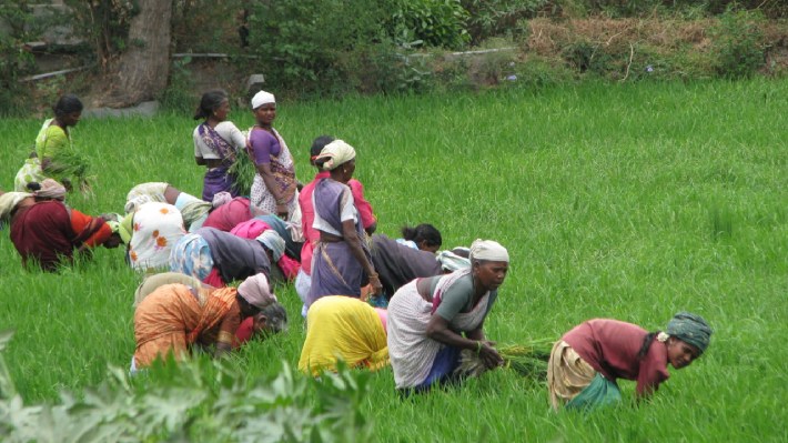 Rural Development and Gender Equality: A reality check in Tamilnadu