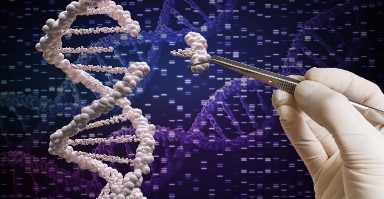 Recent advances in the use of ZFN-mediated gene editing for human gene therapy